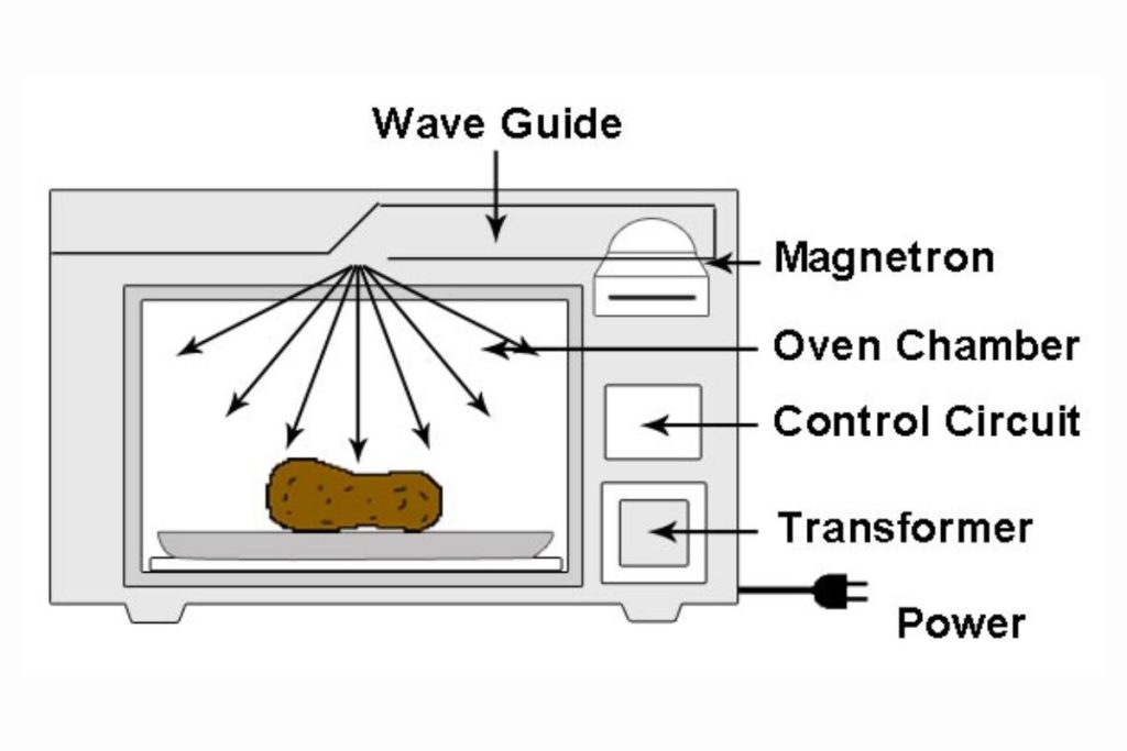 What Is Conventional Microwave Oven? 1 Detailed Guide